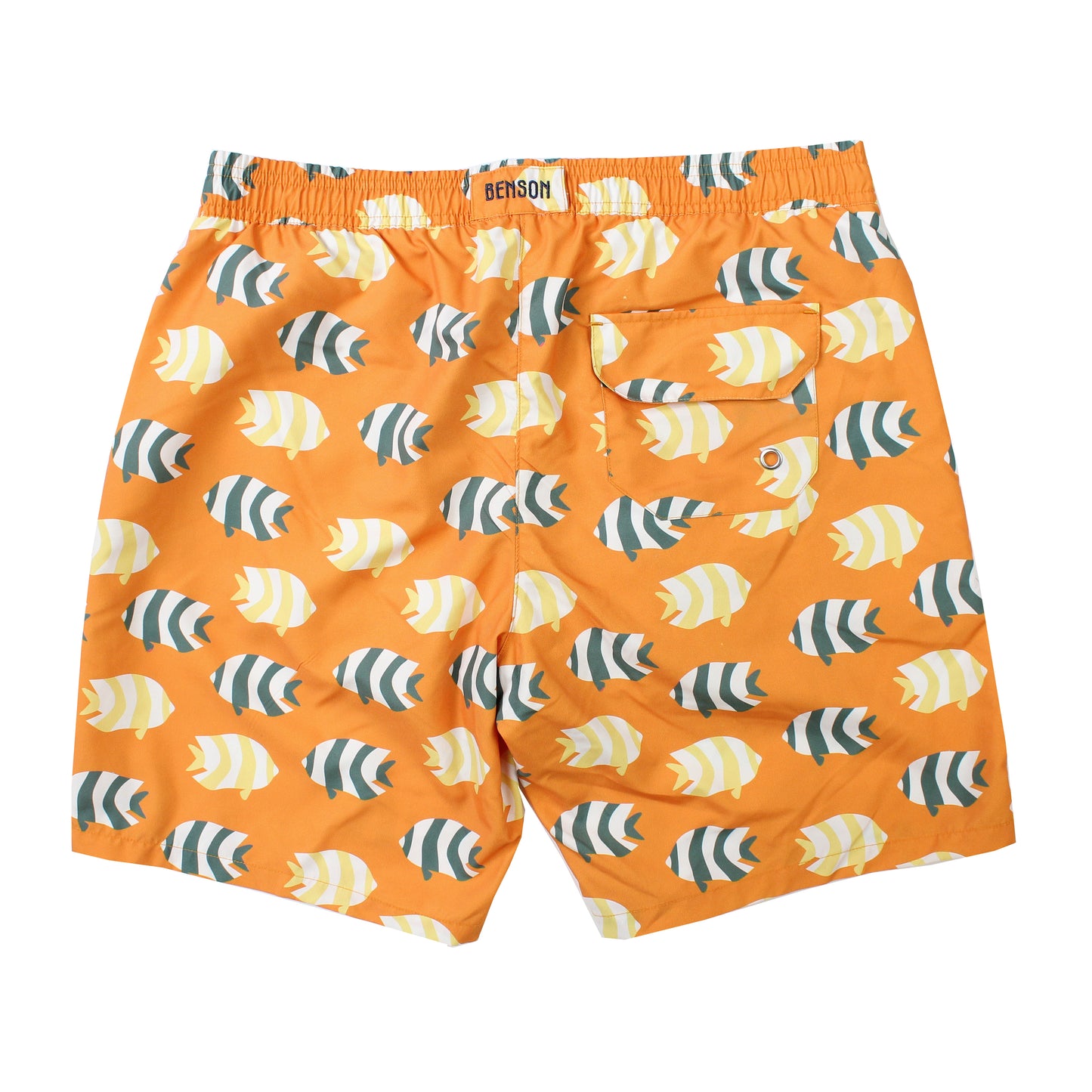 7 Mile Orange Striped Fish Swim