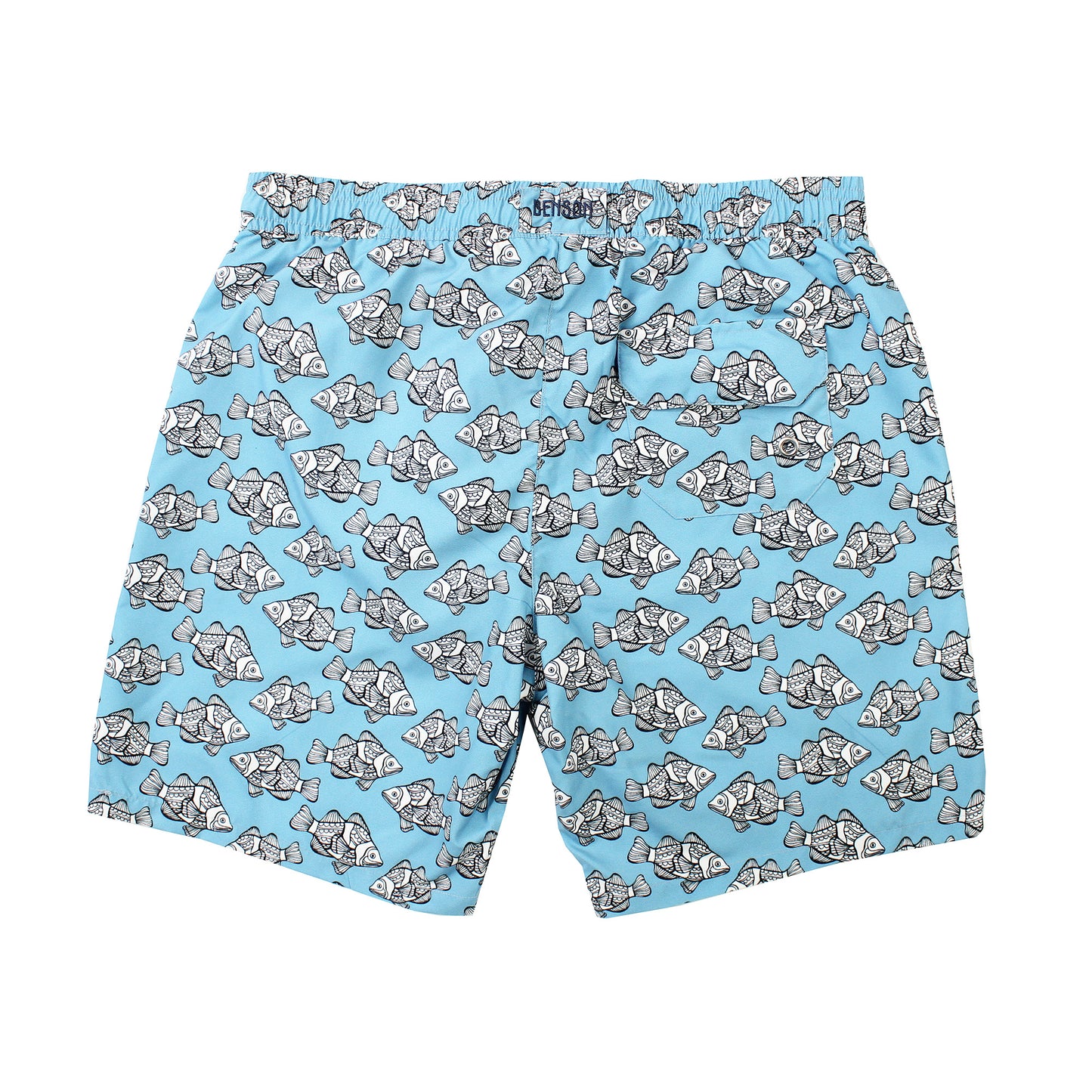 7 Mile Blue Clown Fish Swim