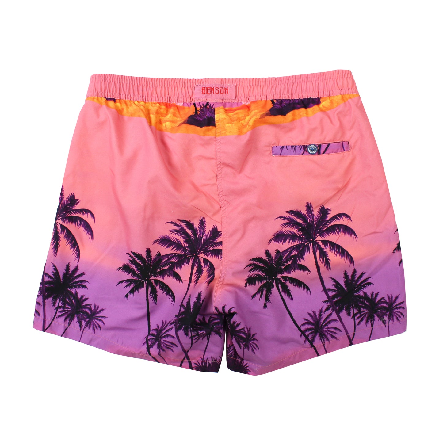 Copa Palm Sunset Fish Swim
